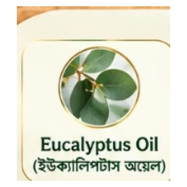 Eucalyptus Oil (ইউক্যালিপটাস এসেনশিয়াল অয়েল)