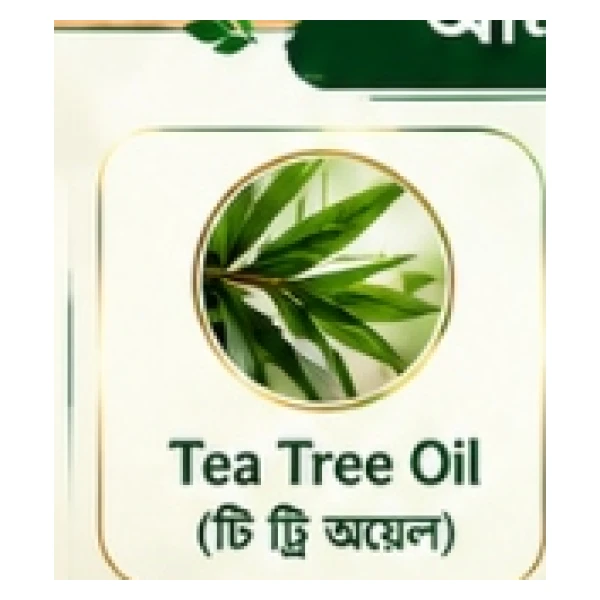 Tea Tree Oil (টি ট্রি এসেনশিয়াল অয়েল)